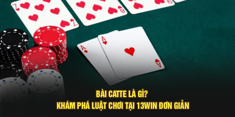 Bài Catte Là Gì? Khám Phá Luật Chơi Tại 13Win Đơn Giản