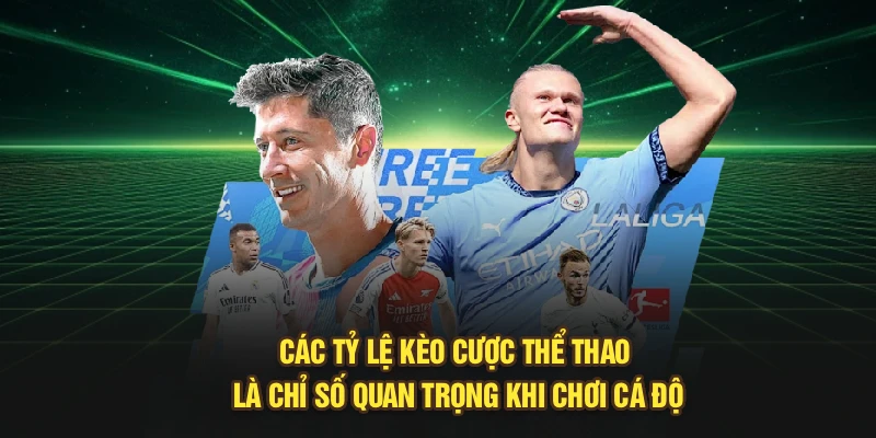 Các tỷ lệ kèo cược thể thao là chỉ số quan trọng khi chơi cá độ