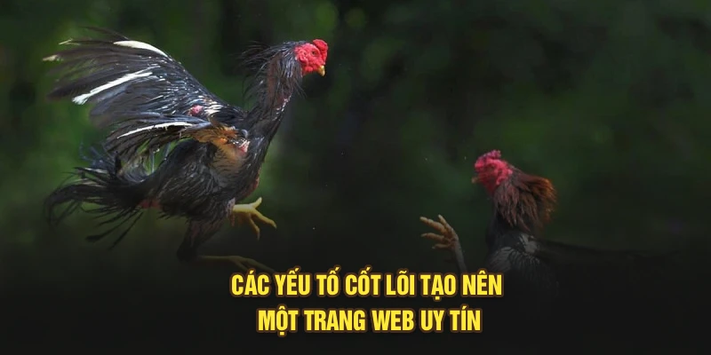 Các yếu tố cốt lõi tạo nên một trang web uy tín