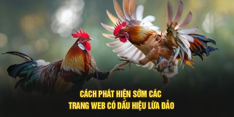 Cách phát hiện sớm các trang web có dấu hiệu lừa đảo