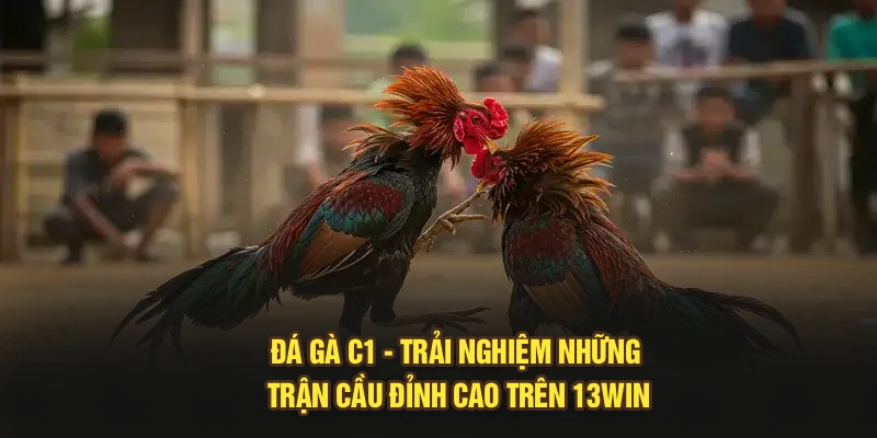 Đá Gà C1 - Trải Nghiệm Những Trận Cầu Đỉnh Cao Trên 13Win