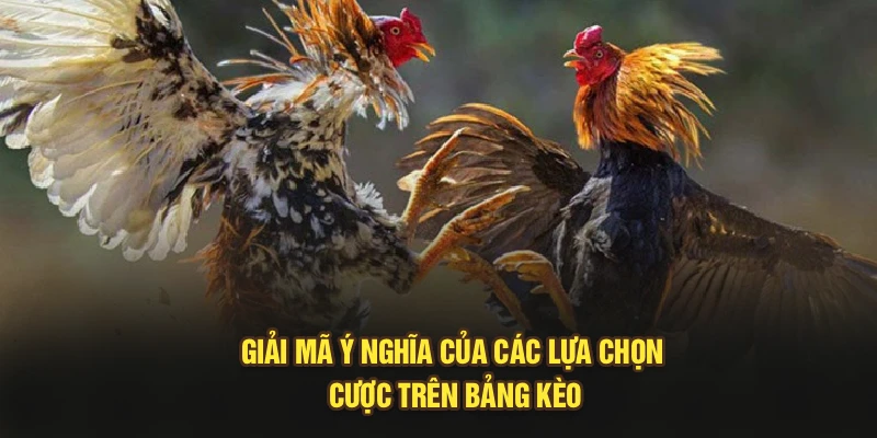 Giải mã ý nghĩa của các lựa chọn cược trên bảng kèo