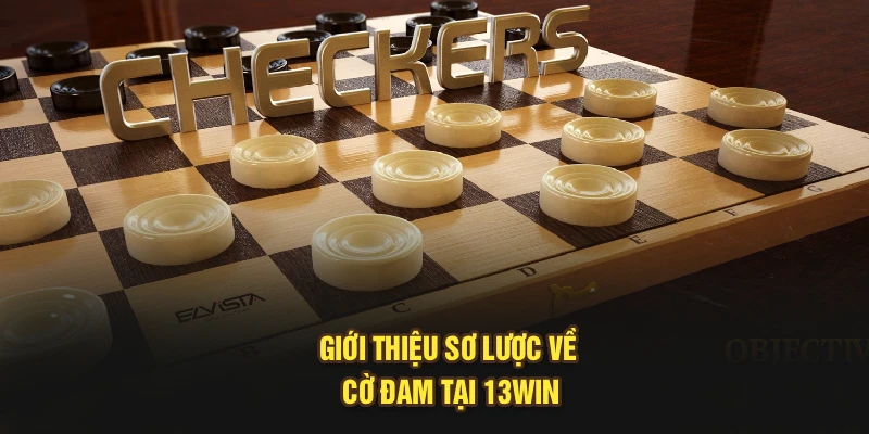 Giới thiệu sơ lược về cờ đam tại 13Win