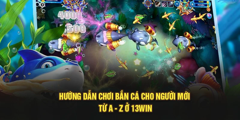 Hướng Dẫn Chơi Bắn Cá Cho Người Mới Từ A - Z Ở 13Win