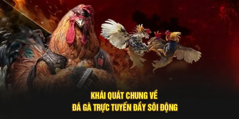 Khái quát chung về đá gà trực tuyến đầy sôi động
