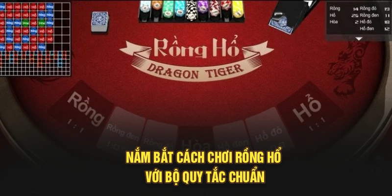 Nắm bắt cách chơi rồng hổ với bộ quy tắc chuẩn