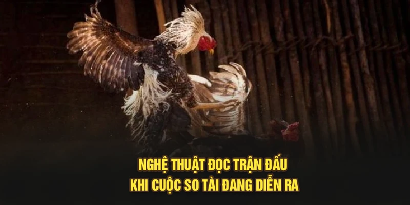 Nghệ thuật đọc trận đấu khi cuộc so tài đang diễn ra