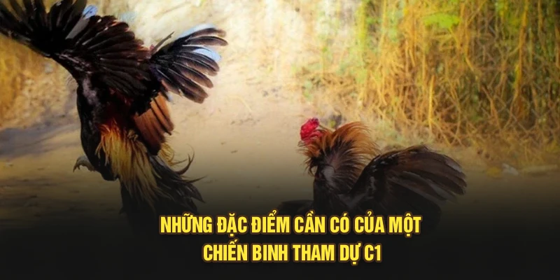 Những đặc điểm cần có của một chiến binh tham dự C1