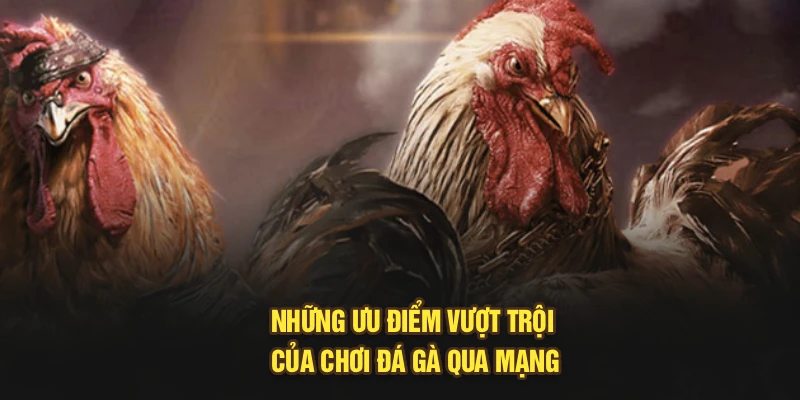 Những ưu điểm vượt trội của chơi đá gà qua mạng
