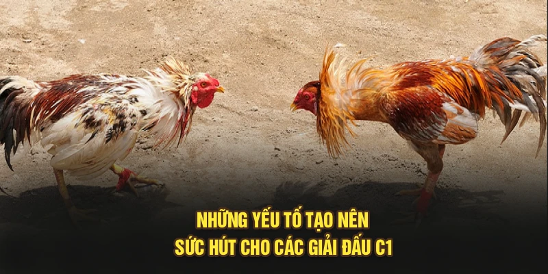 Những yếu tố tạo nên sức hút cho các giải đấu C1