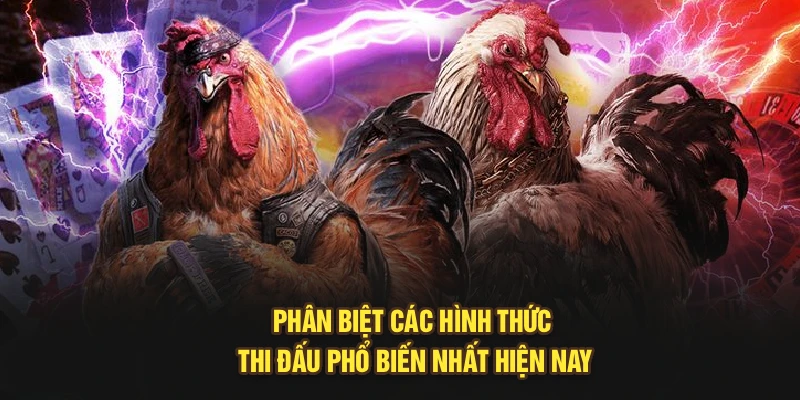 Phân biệt các hình thức thi đấu phổ biến nhất hiện nay